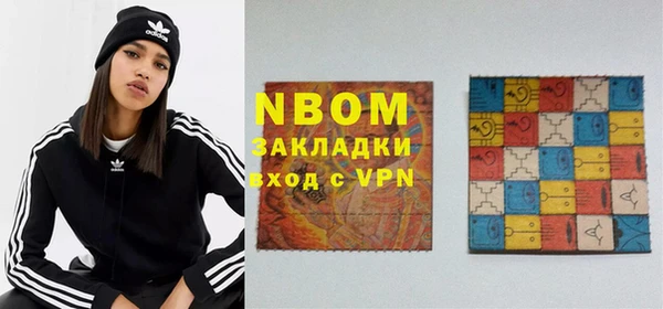 индика Каменногорск