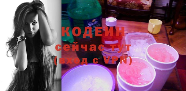 индика Каменногорск