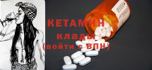 индика Каменногорск