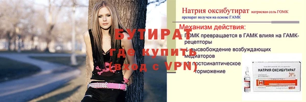 индика Каменногорск