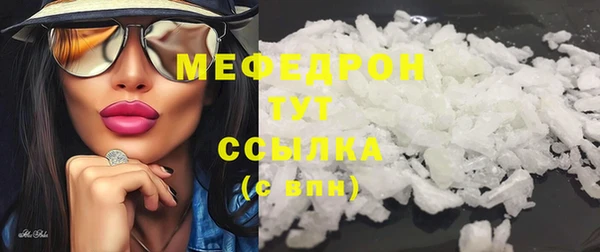 индика Каменногорск