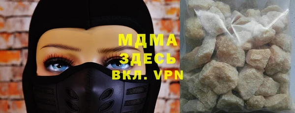 индика Каменногорск