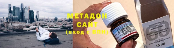 индика Каменногорск