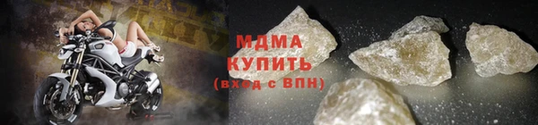 индика Каменногорск