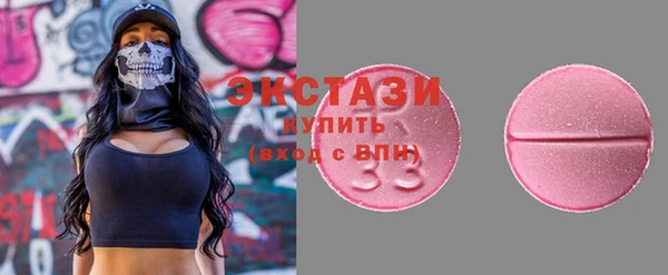 индика Каменногорск