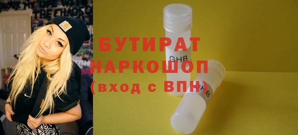 индика Каменногорск