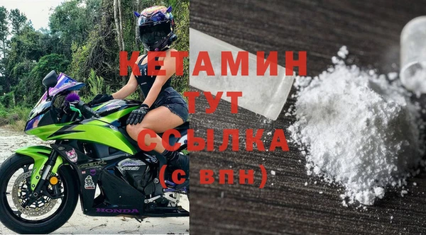 индика Каменногорск