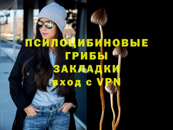 мет Каменск-Шахтинский