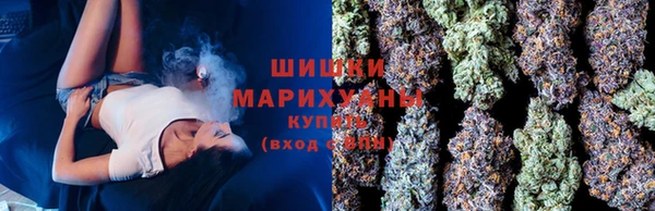 индика Каменногорск