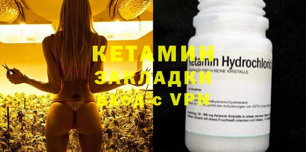 индика Каменногорск