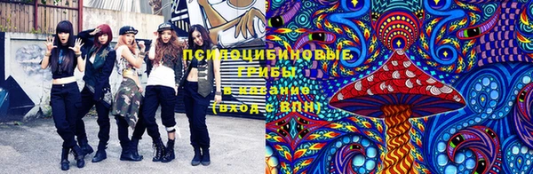 мет Каменск-Шахтинский