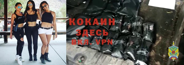 индика Каменногорск